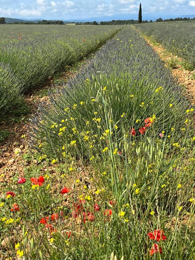 Harmonie Appartamento Gréoux-les-Bains