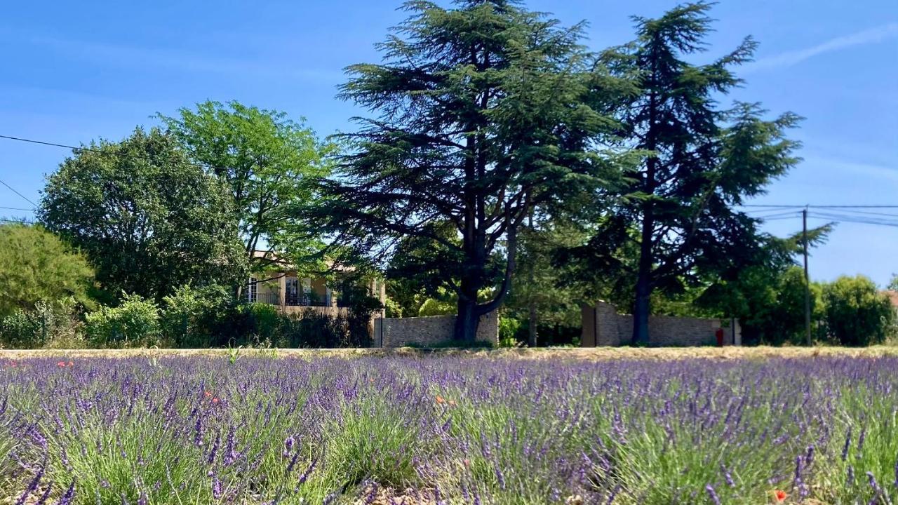 Harmonie Greoux-les-Bains